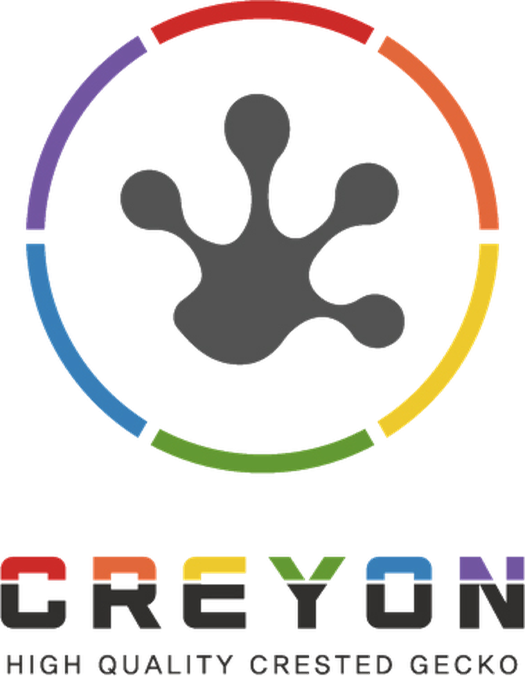 CREYON — High Quality Crested Gecko